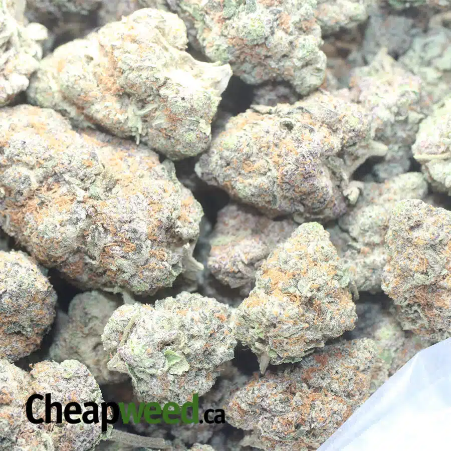 KUSH BREATH 1 I Kush Breath
