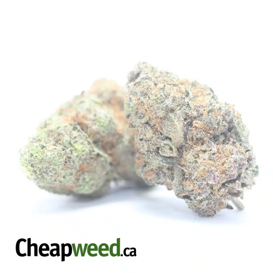 KUSH BREATH 3 I Kush Breath
