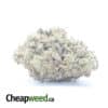 Kushberry