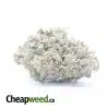 Kushberry