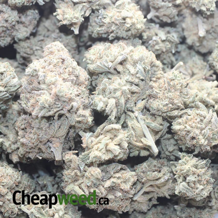 KUSHBERRY 5 I Kushberry