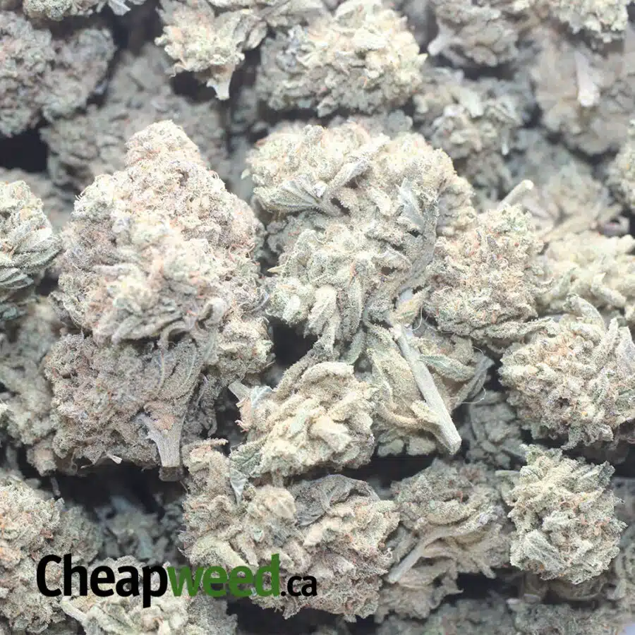 KUSHBERRY 5 I Kushberry