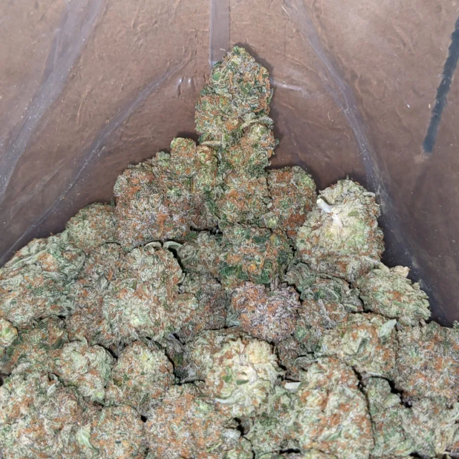 Kush Breath - Image 3