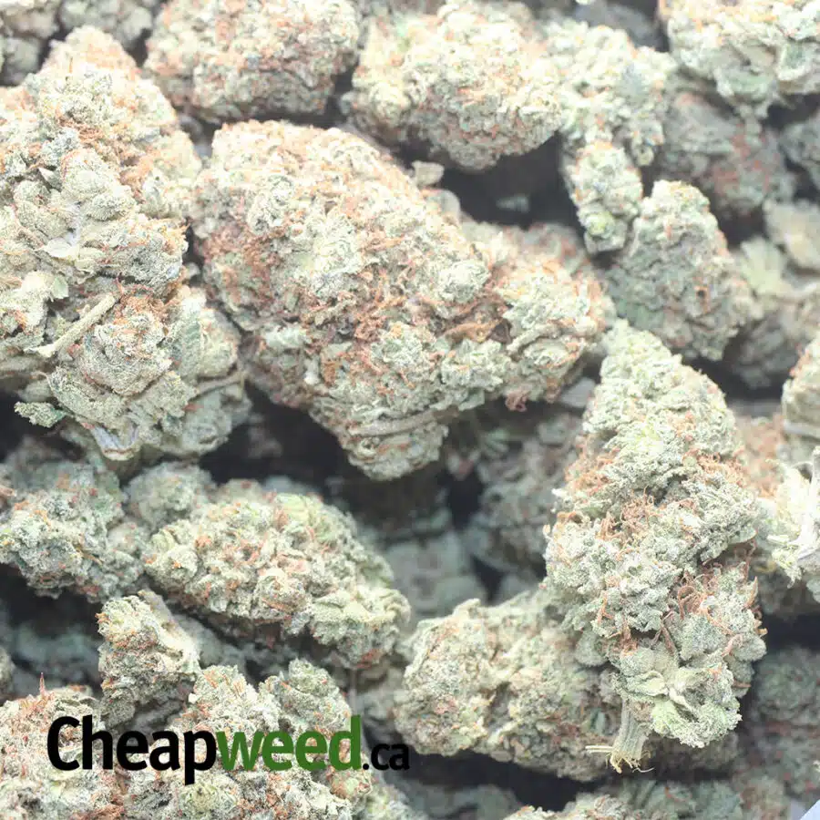 LEMON HAZE I $50 Oz - Lemon Haze