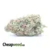 $ 53 Oz - Limoncello