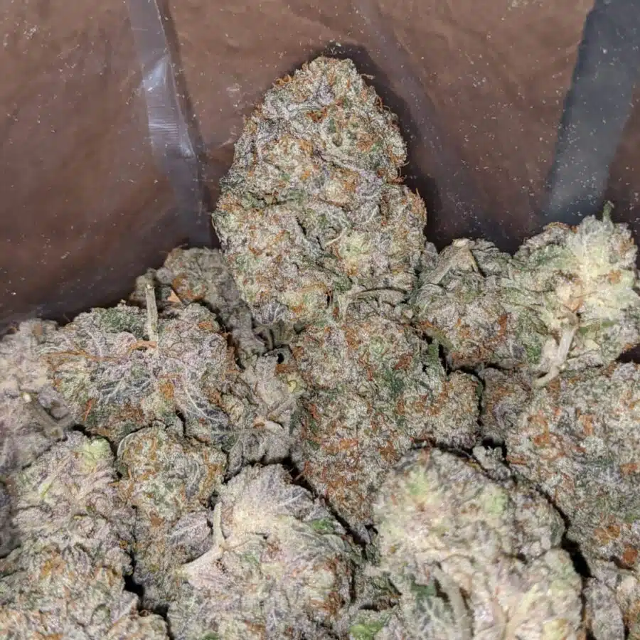La Kush Breah 2 I LA Kush Breath