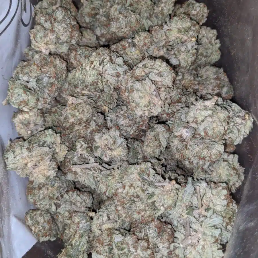 Northern lights 1 1 I $ 48 Oz - Northern Lights