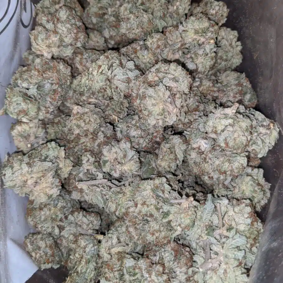 Northern lights 2 1 I $ 48 Oz - Northern Lights
