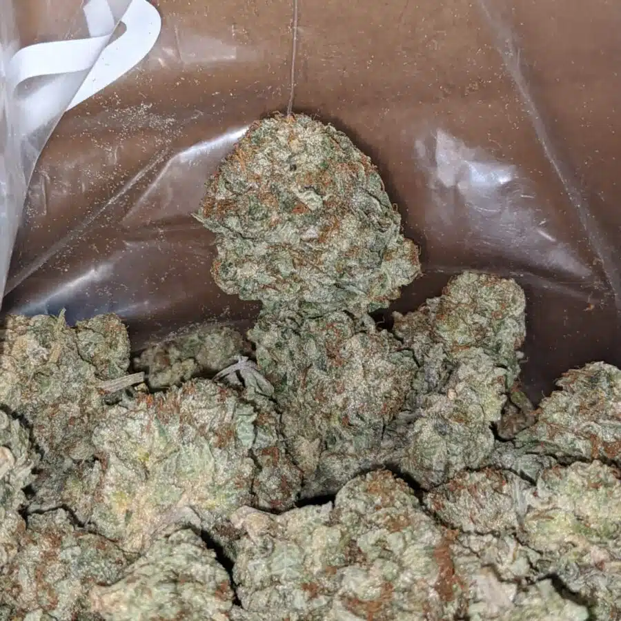 Northern lights 3 1 I $ 48 Oz - Northern Lights