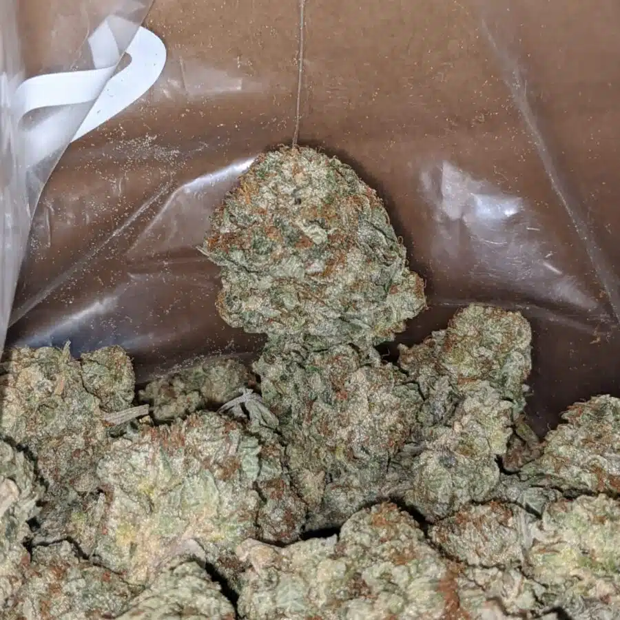 Northern lights 4 1 I $ 48 Oz - Northern Lights