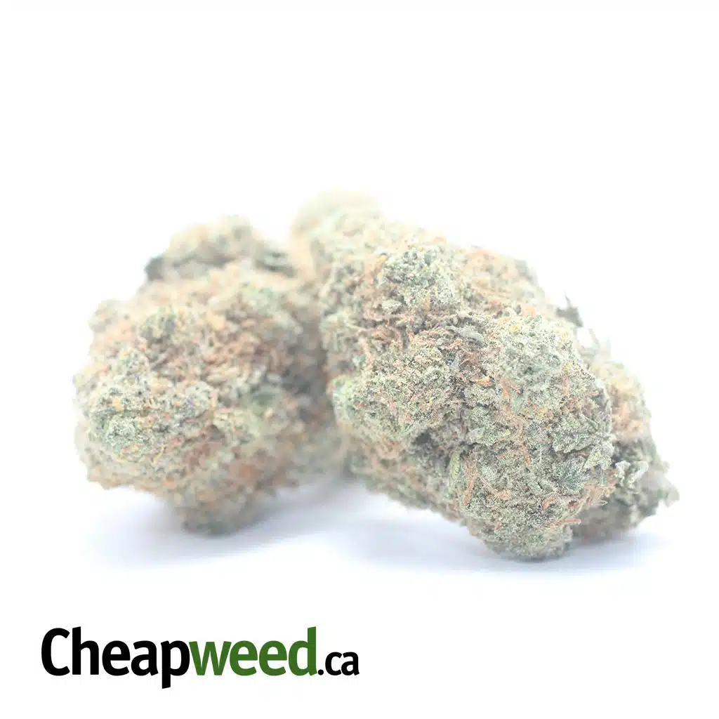 Orange Haze - Image 2