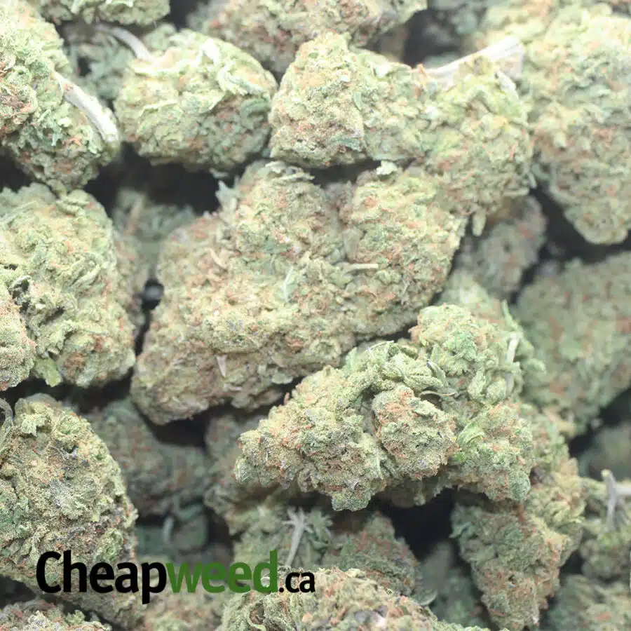 PURPLE RUNTZ 1 I $ 56 Oz - Purple Runtz