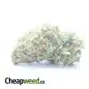 $ 56 Oz - Purple Runtz