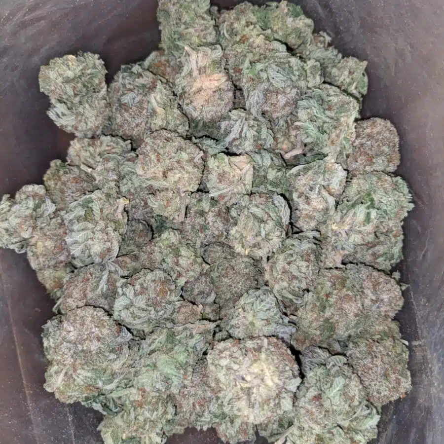 Purple diamond 1 I Purple Diamond #2