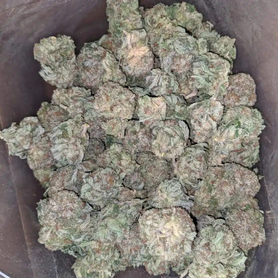 Purple diamond 2 I Purple Diamond #2
