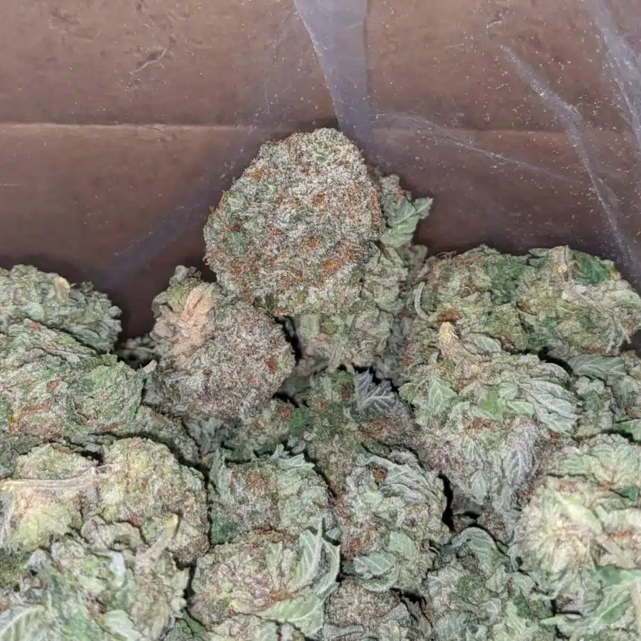 Purple diamond 4 I Purple Diamond #2