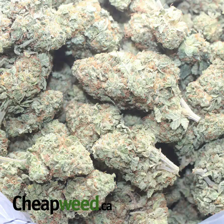 ROCKETFUEL 5 I $ 54 Oz - Rocket Fuel