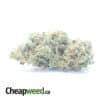 $ 54 Oz - Seattle Cough