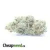 $ 54 Oz - Seattle Cough