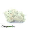 $ 48 Oz - Sherbert