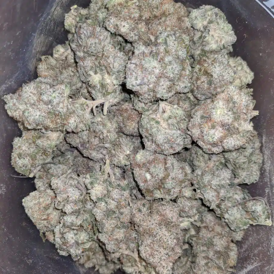 Skywalker 1 I Skywalker