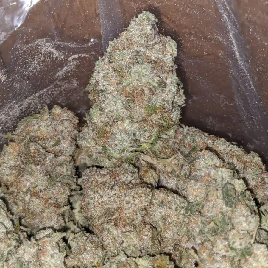 Skywalker 3 I Skywalker