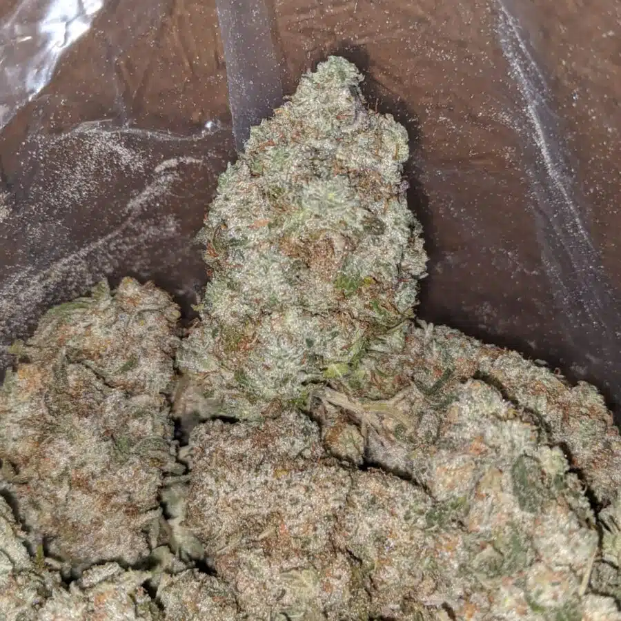 Skywalker 4 I Skywalker
