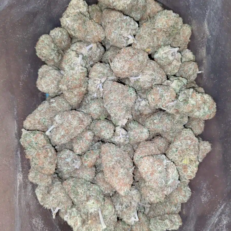 Sugar cookies 1 I $ 48 Oz - Sugar Cookies