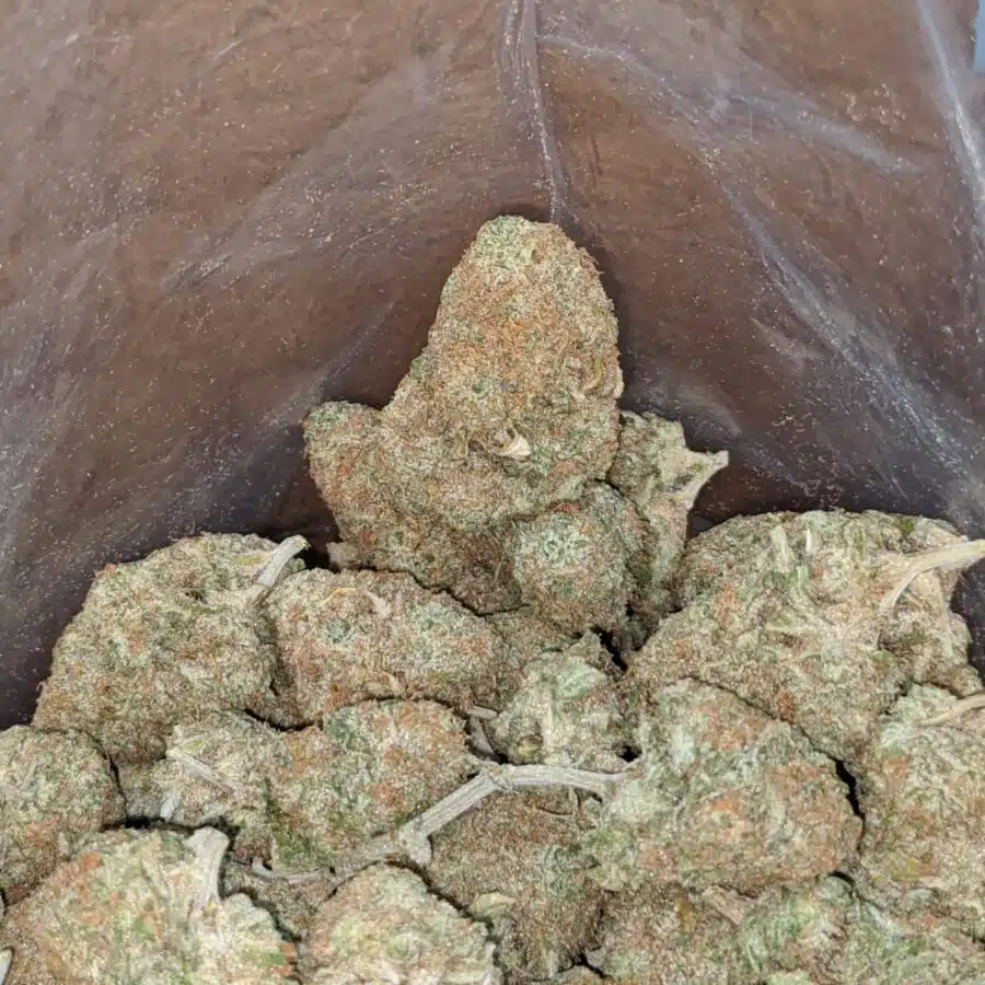 Sugar cookies 2 I $ 48 Oz - Sugar Cookies