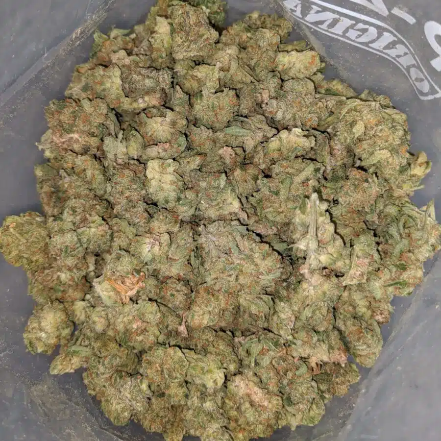 WhatsApp Image 2024 11 29 at 12.41.09 PM I $ 30 Oz - Fruity Pebbles ( Popcorn )