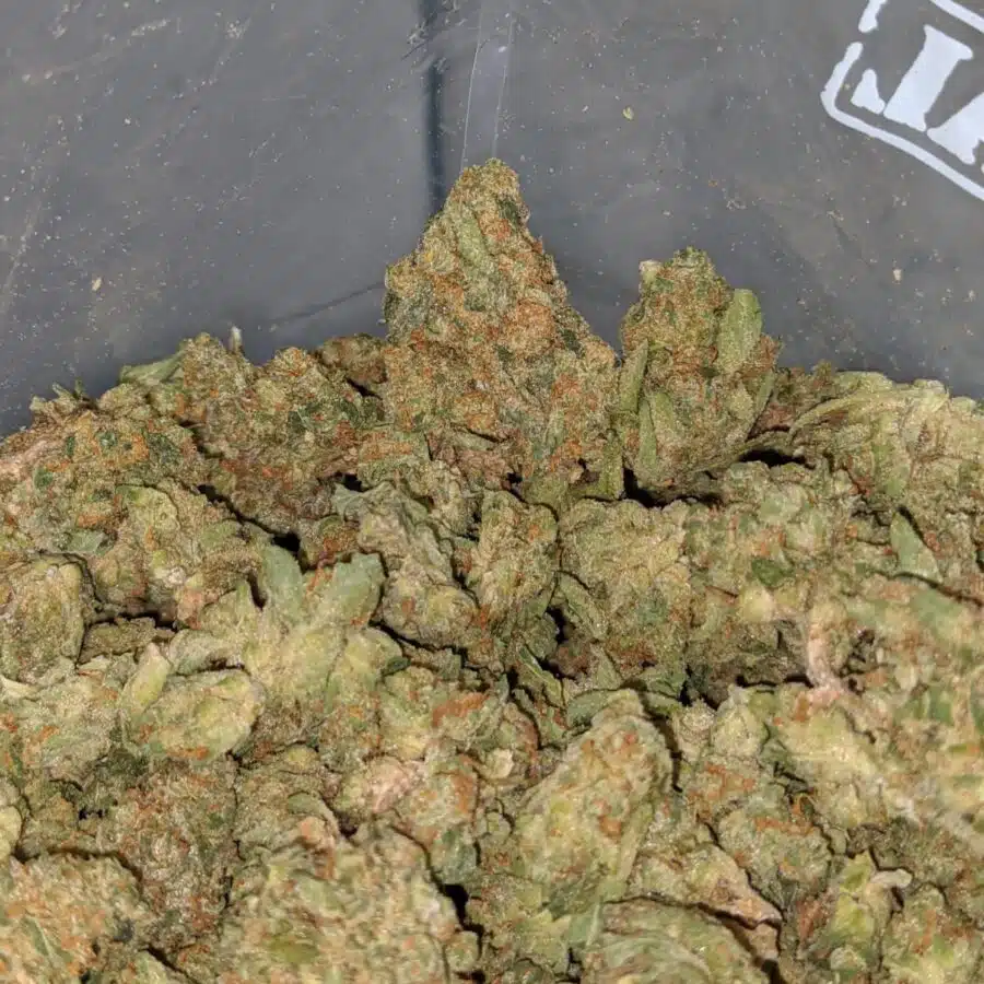 WhatsApp Image 2024 11 29 at 12.41.10 PM 1 I $ 30 Oz - Fruity Pebbles ( Popcorn )