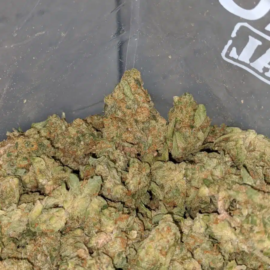 WhatsApp Image 2024 11 29 at 12.41.10 PM 2 I $ 30 Oz - Fruity Pebbles ( Popcorn )