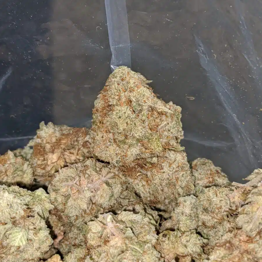 cookies and cream bulk special 1 I Cookies & Cream Bulk Special