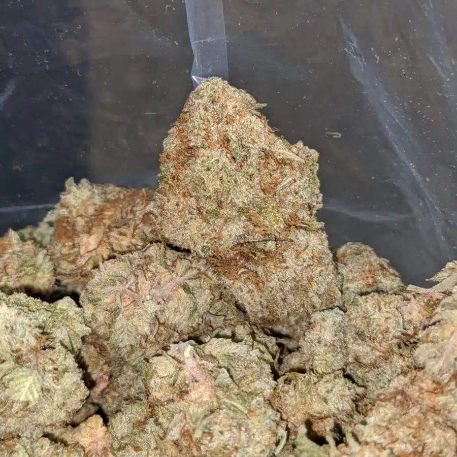 cookies and cream bulk special 2 I Cookies & Cream Bulk Special