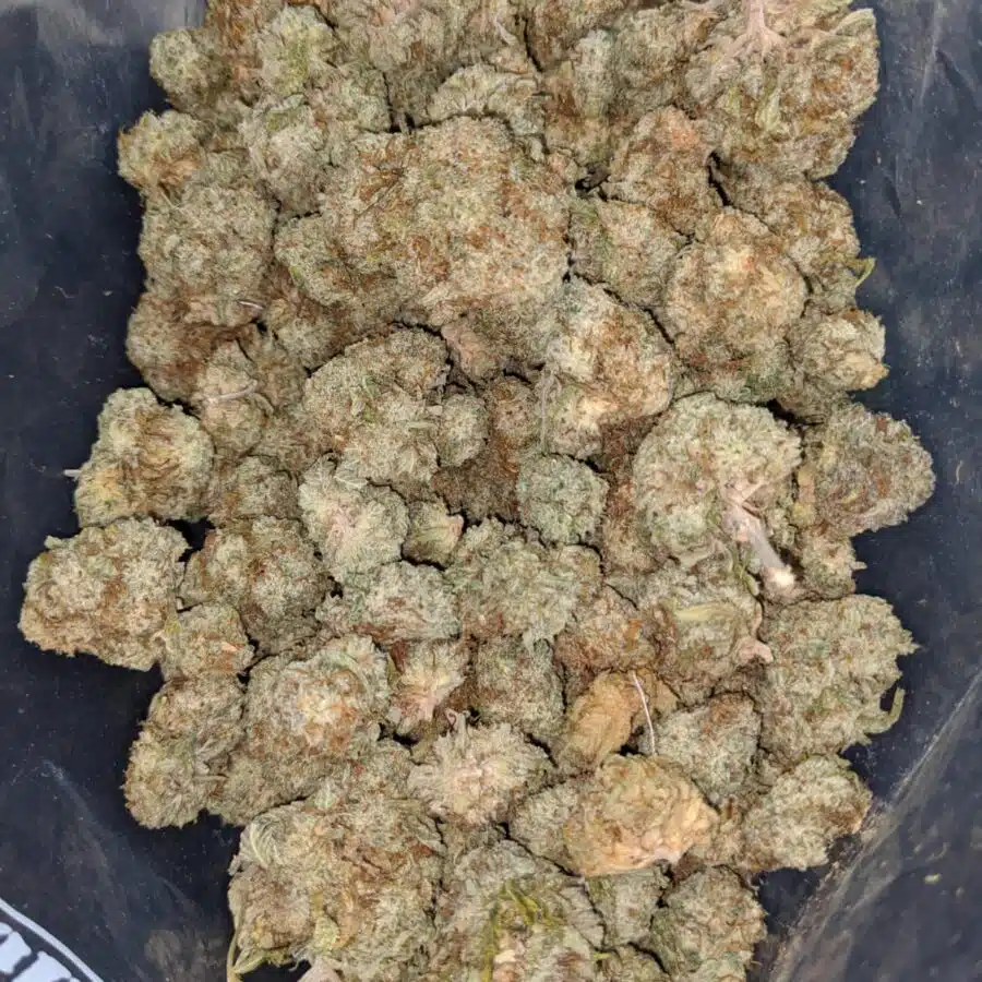 cookies and cream bulk special 3 I Cookies & Cream Bulk Special