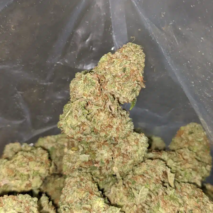 rocketfuel 2 I $ 54 Oz - Rocket Fuel