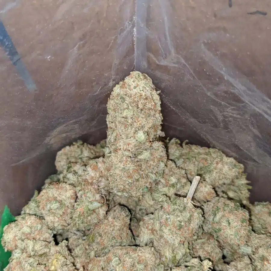 sherbet 1 I Shishkaberry