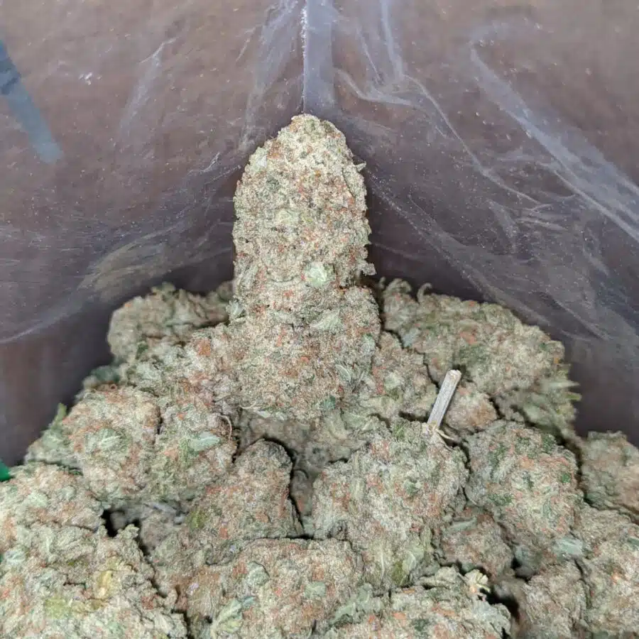 sherbet 2 I Shishkaberry