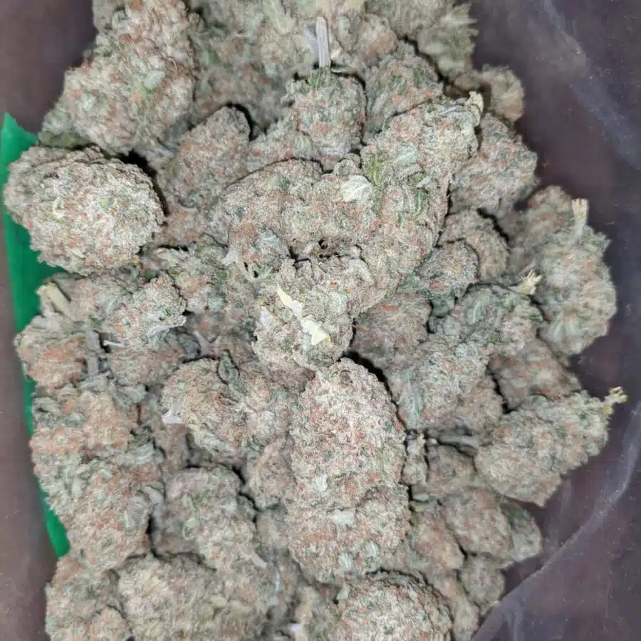 sherbet 3 I Shishkaberry