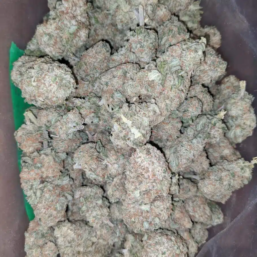 sherbet 4 I Shishkaberry