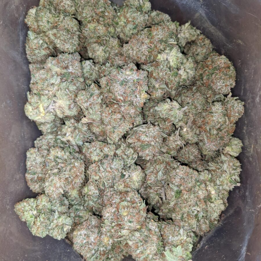 trk 1 I Tony's Rockstar Kush