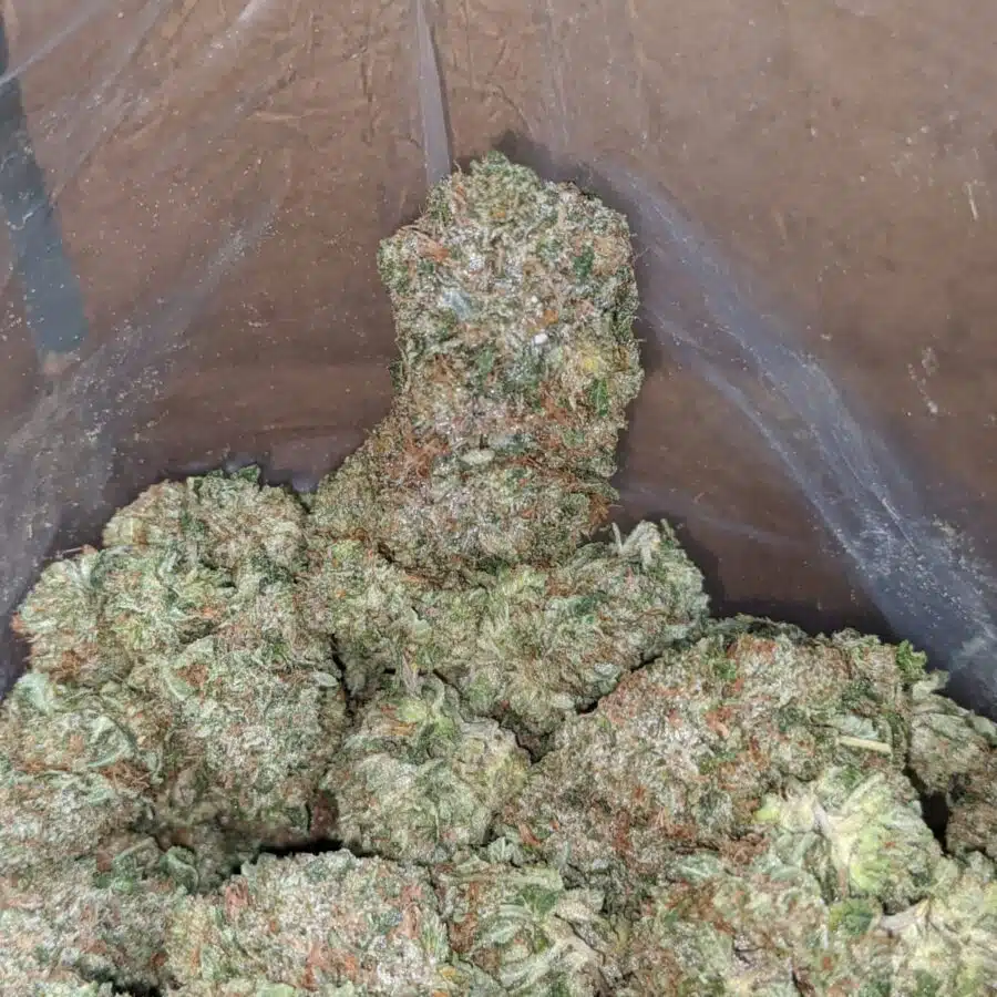 trk 2 I Tony's Rockstar Kush