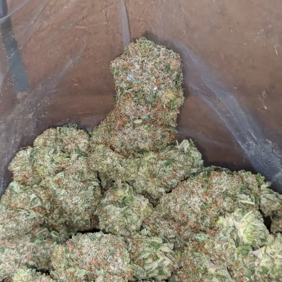 trk 3 I Tony's Rockstar Kush