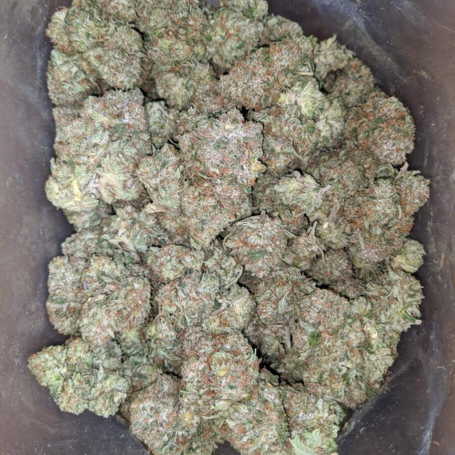 trk 4 I Tony's Rockstar Kush