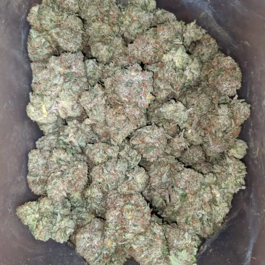 trk 4 I Tony's Rockstar Kush