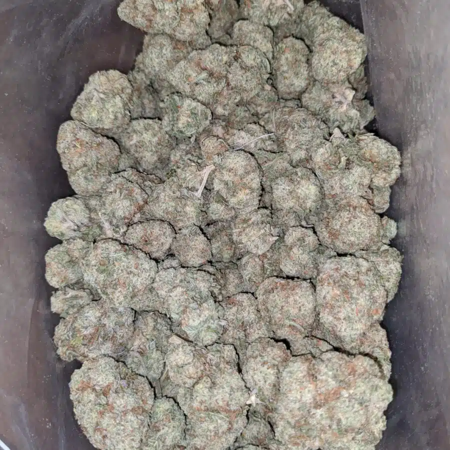 Boston cream 1 I $ 52 Oz - Boston Cream