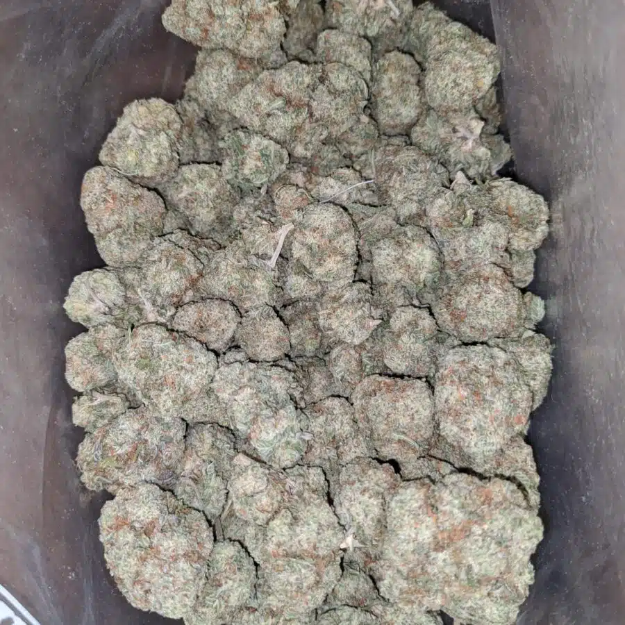Boston cream 2 I $ 52 Oz - Boston Cream