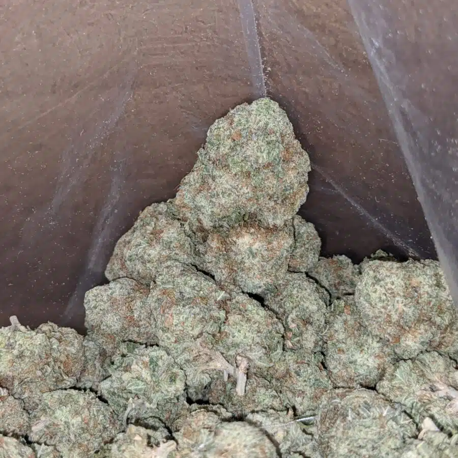 Boston cream 4 I $ 52 Oz - Boston Cream