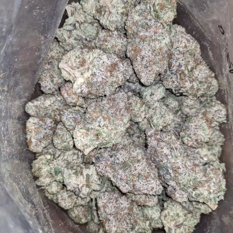 FRENCH TOAST 2 I French Toast