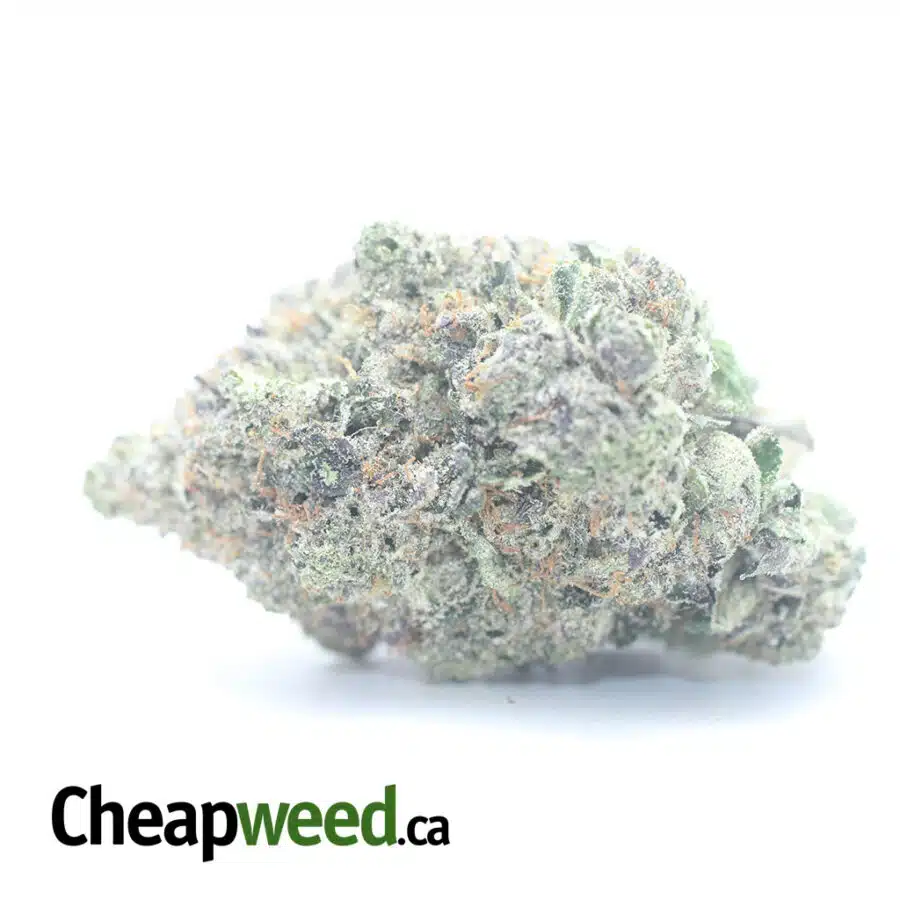 $ 128 Oz - Killer Queen